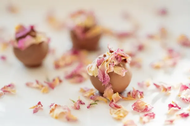 Fiebre Slots Casino Aplicación Android/iOS